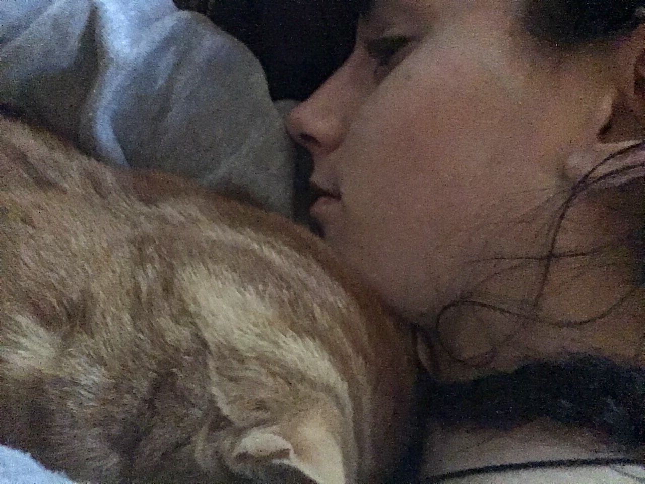 L'amour d'un animal L'amour d'un animal