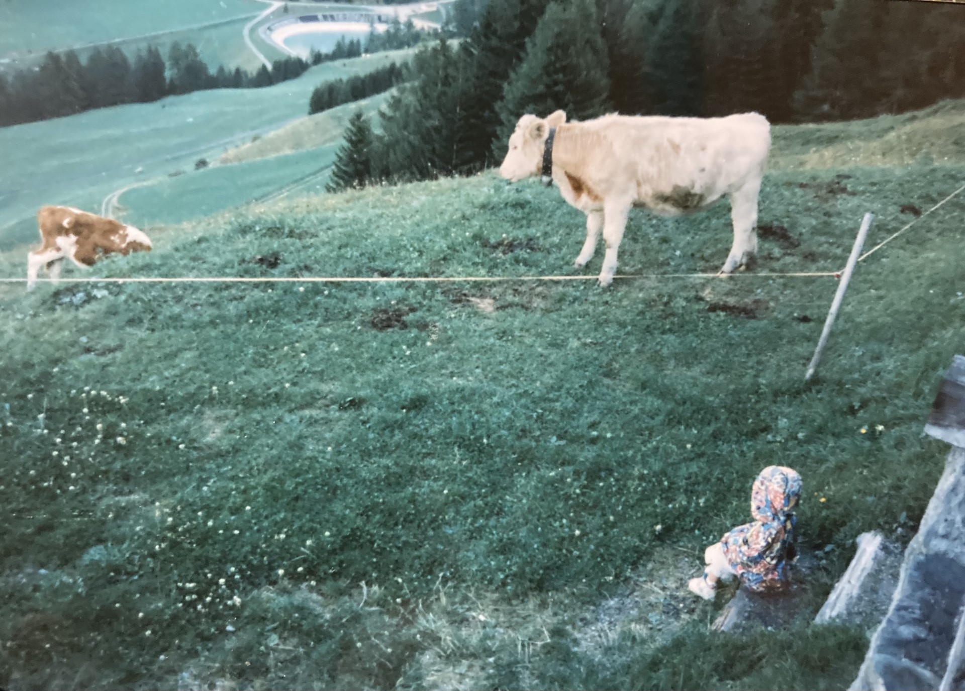 1997 1997