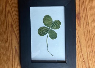 Trèfle à 4 feuilles