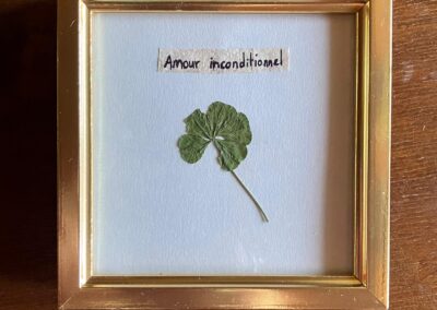 Trèfle à 5 feuilles