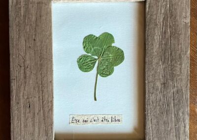 Trèfle à 5 feuilles