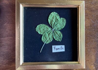 Trèfle à 5 feuilles