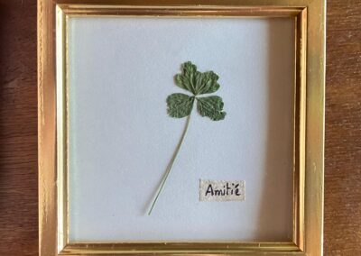 Trèfle à 4 feuilles